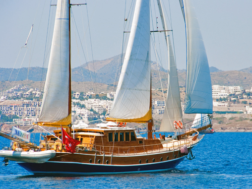 M/S Myra