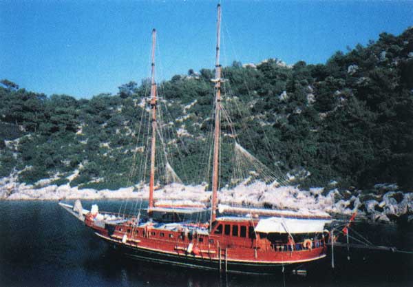 M/S Surgun D