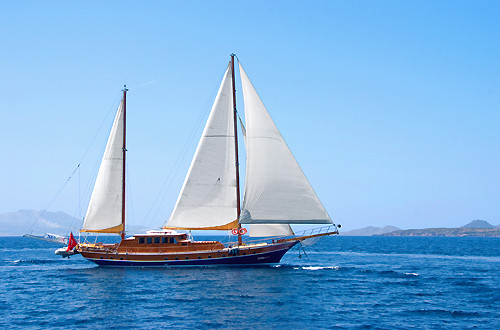 M/S Myra
