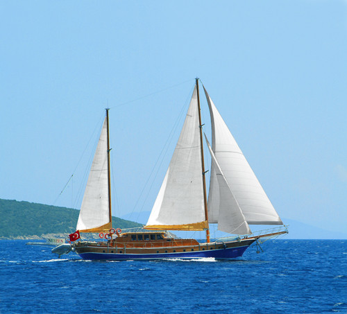 M/S Myra