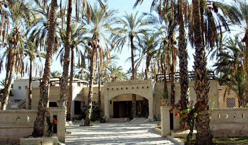 EdenPalm