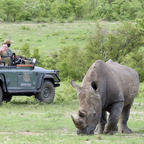 Sabi Sands Game Reserve