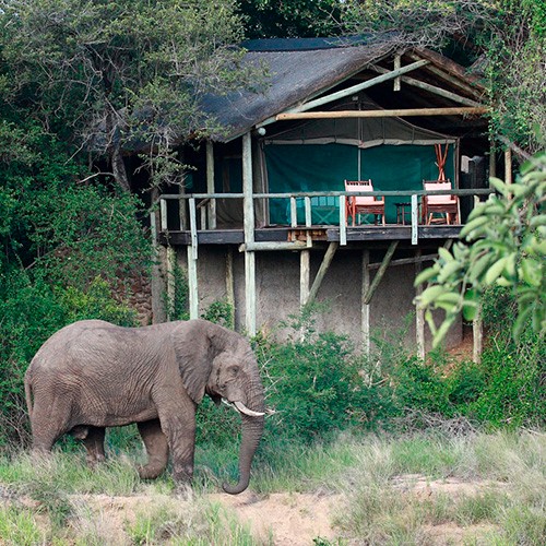 Timbavati Private Nature Reserve